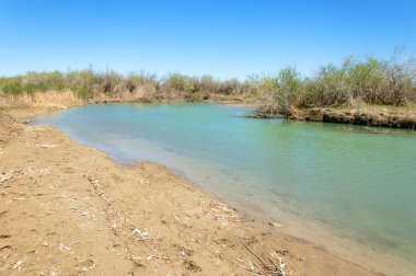 Bozkır nehir sazlık yaz. nehir görünümünde kez izlendi. küçük mavi nehir kıyısında güneşli bir gün