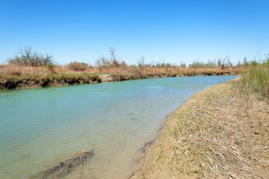 Bozkır nehir sazlık yaz. nehir görünümünde kez izlendi. küçük mavi nehir kıyısında güneşli bir gün
