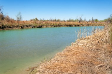 Bozkır nehir sazlık yaz. nehir görünümünde kez izlendi. küçük mavi nehir kıyısında güneşli bir gün