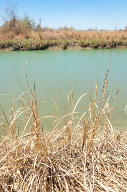 Bozkır nehir sazlık yaz. nehir görünümünde kez izlendi. küçük mavi nehir kıyısında güneşli bir gün