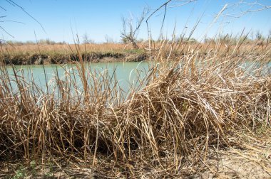 Bozkır nehir sazlık yaz. nehir görünümünde kez izlendi. küçük mavi nehir kıyısında güneşli bir gün