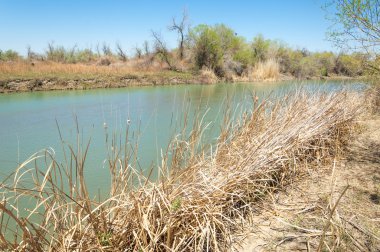 Bozkır nehir sazlık yaz. nehir görünümünde kez izlendi. küçük mavi nehir kıyısında güneşli bir gün