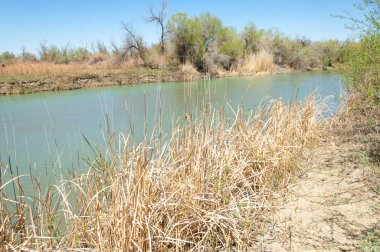 Bozkır nehir sazlık yaz. nehir görünümünde kez izlendi. küçük mavi nehir kıyısında güneşli bir gün