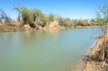 Bozkır nehir sazlık yaz. nehir görünümünde kez izlendi. küçük mavi nehir kıyısında güneşli bir gün