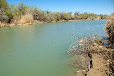 Bozkır nehir sazlık yaz. nehir görünümünde kez izlendi. küçük mavi nehir kıyısında güneşli bir gün