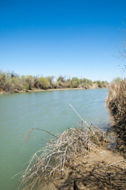 Bozkır nehir sazlık yaz. nehir görünümünde kez izlendi. küçük mavi nehir kıyısında güneşli bir gün