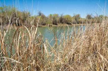 Bozkır nehir sazlık yaz. nehir görünümünde kez izlendi. küçük mavi nehir kıyısında güneşli bir gün