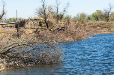 çöl, vahşi, kumlar, ıssızlık, atık, sahara. Hayvancılık, özellikle sığır veya ata, bir çiftlik veya ahır için bir kalem. su bulunduğu bir çölde bereketli bir nokta.