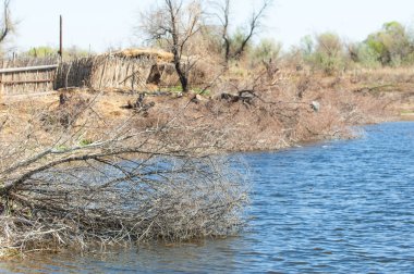 çöl, vahşi, kumlar, ıssızlık, atık, sahara. Hayvancılık, özellikle sığır veya ata, bir çiftlik veya ahır için bir kalem. su bulunduğu bir çölde bereketli bir nokta.