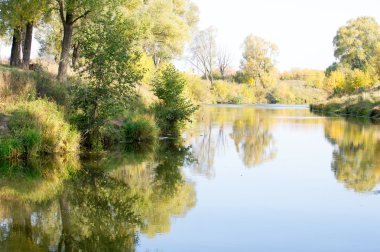 Sonbahar, Güz, yaprak sonbahar, sonbahar yaprak. yaprakları ve otelde bitkileri ve meyve toplandık yılın üçüncü sezon sonbahar