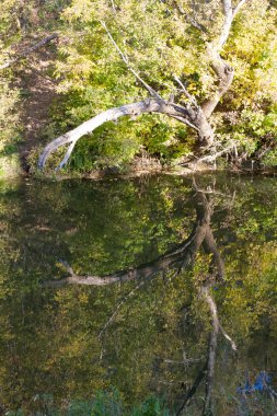 Sonbahar, Güz, yaprak sonbahar, sonbahar yaprak. yaprakları ve otelde bitkileri ve meyve toplandık yılın üçüncü sezon sonbahar