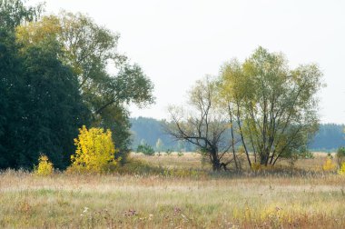 Sonbahar, Güz, yaprak sonbahar, sonbahar yaprak. yaprakları ve otelde bitkileri ve meyve toplandık yılın üçüncü sezon sonbahar