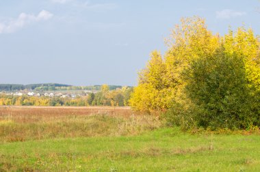 Sonbahar, Güz, yaprak sonbahar, sonbahar yaprak. yaprakları ve otelde bitkileri ve meyve toplandık yılın üçüncü sezon sonbahar