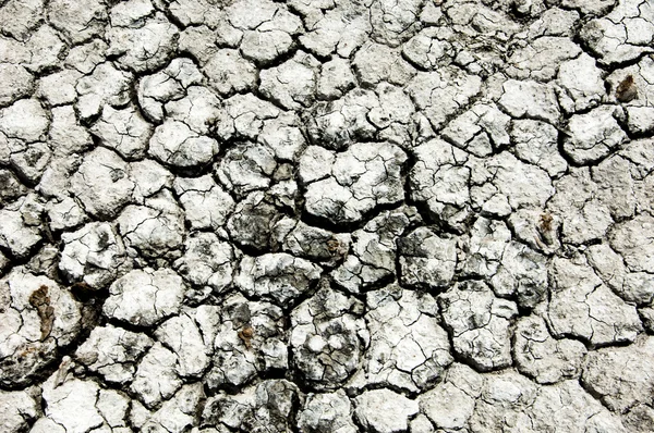 Textura de la tierra seca — Foto de Stock