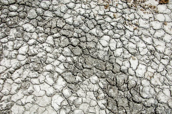 Desert Wilderness Waste Sands Wilds Sahara Texture Dry Land Dry — Stock Photo, Image