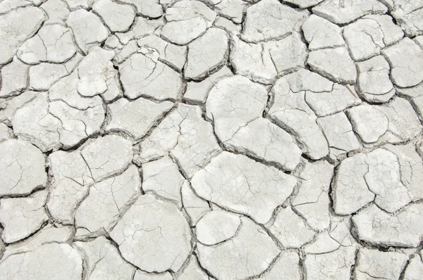 Texture of dry land — Stock Photo, Image
