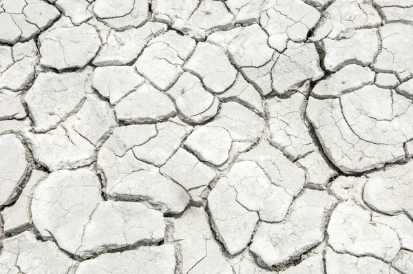 Deserto Deserto Desperdício Areias Florestas Saara Textura Terra Seca Fundo — Fotografia de Stock