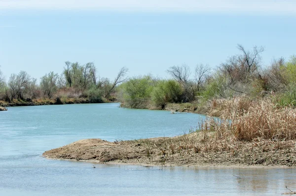 Río Steppe Caña Verano Vistas Vista Del Río Pequeño Río — Foto de Stock