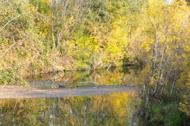 Sonbahar, Güz, yaprak sonbahar, sonbahar yaprak. yaprakları ve otelde bitkileri ve meyve toplandık yılın üçüncü sezon sonbahar