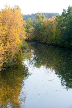 Sonbahar, Güz, yaprak sonbahar, sonbahar yaprak. yaprakları ve otelde bitkileri ve meyve toplandık yılın üçüncü sezon sonbahar