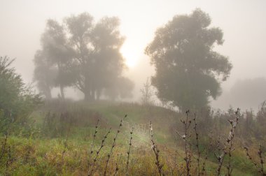 Sonbahar, Güz, yaprak sonbahar, sonbahar yaprak. yaprakları ve otelde bitkileri ve meyve toplandık yılın üçüncü sezon sonbahar