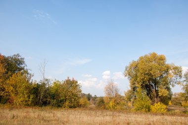 Sonbahar, Güz, yaprak sonbahar, sonbahar yaprak. yaprakları ve otelde bitkileri ve meyve toplandık yılın üçüncü sezon sonbahar