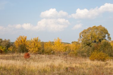 Sonbahar, Güz, yaprak sonbahar, sonbahar yaprak. yaprakları ve otelde bitkileri ve meyve toplandık yılın üçüncü sezon sonbahar