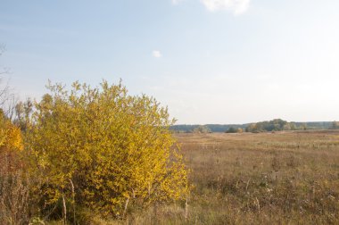 Sonbahar, Güz, yaprak sonbahar, sonbahar yaprak. yaprakları ve otelde bitkileri ve meyve toplandık yılın üçüncü sezon sonbahar