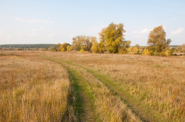 Sonbahar, Güz, yaprak sonbahar, sonbahar yaprak. yaprakları ve otelde bitkileri ve meyve toplandık yılın üçüncü sezon sonbahar