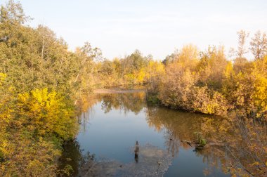 Sonbahar, Güz, yaprak sonbahar, sonbahar yaprak. yaprakları ve otelde bitkileri ve meyve toplandık yılın üçüncü sezon sonbahar