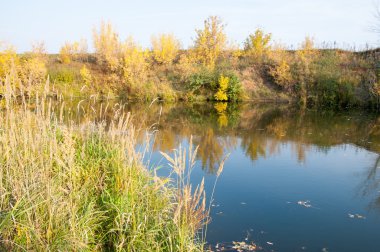 Sonbahar, Güz, yaprak sonbahar, sonbahar yaprak. yaprakları ve otelde bitkileri ve meyve toplandık yılın üçüncü sezon sonbahar