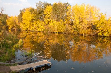 Sonbahar, Güz, yaprak sonbahar, sonbahar yaprak. yaprakları ve otelde bitkileri ve meyve toplandık yılın üçüncü sezon sonbahar