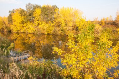 Sonbahar, Güz, yaprak sonbahar, sonbahar yaprak. yaprakları ve otelde bitkileri ve meyve toplandık yılın üçüncü sezon sonbahar