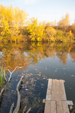 Sonbahar, Güz, yaprak sonbahar, sonbahar yaprak. yaprakları ve otelde bitkileri ve meyve toplandık yılın üçüncü sezon sonbahar
