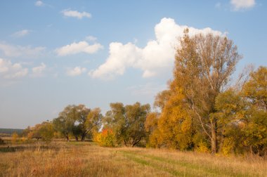 Sonbahar, Güz, yaprak sonbahar, sonbahar yaprak. yaprakları ve otelde bitkileri ve meyve toplandık yılın üçüncü sezon sonbahar
