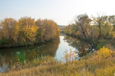 Sonbahar, Güz, yaprak sonbahar, sonbahar yaprak. yaprakları ve otelde bitkileri ve meyve toplandık yılın üçüncü sezon sonbahar