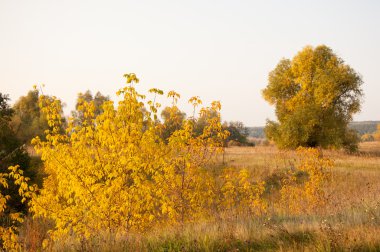 Sonbahar, Güz, yaprak sonbahar, sonbahar yaprak. yaprakları ve otelde bitkileri ve meyve toplandık yılın üçüncü sezon sonbahar