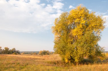 Sonbahar, Güz, yaprak sonbahar, sonbahar yaprak. yaprakları ve otelde bitkileri ve meyve toplandık yılın üçüncü sezon sonbahar