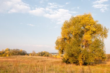 Sonbahar, Güz, yaprak sonbahar, sonbahar yaprak. yaprakları ve otelde bitkileri ve meyve toplandık yılın üçüncü sezon sonbahar