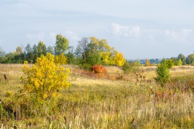 Sonbahar, Güz, yaprak sonbahar, sonbahar yaprak. yaprakları ve otelde bitkileri ve meyve toplandık yılın üçüncü sezon sonbahar