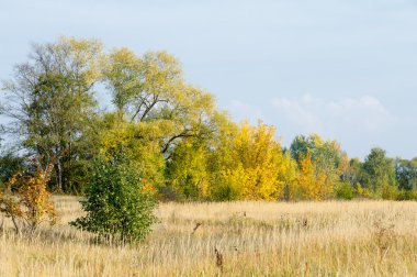 Sonbahar, Güz, yaprak sonbahar, sonbahar yaprak. yaprakları ve otelde bitkileri ve meyve toplandık yılın üçüncü sezon sonbahar