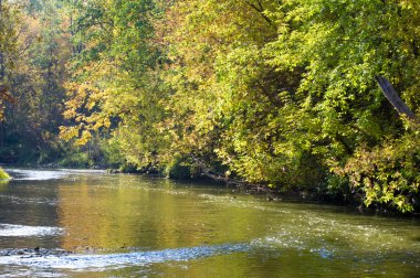 Sonbahar, altın yaprakları, harika bir zaman gün sıcak