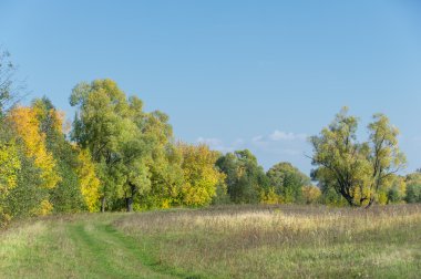 Sonbahar, altın yaprakları, harika bir zaman gün sıcak