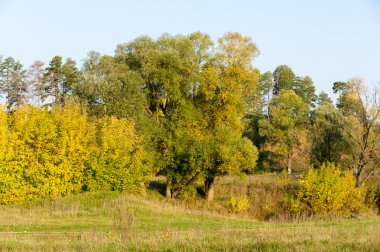 Sonbahar, altın yaprakları, harika bir zaman gün sıcak