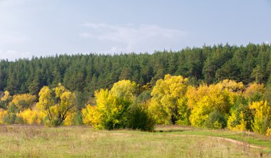 Sonbahar, Güz, yaprak sonbahar, sonbahar yaprak. yaprakları ve otelde bitkileri ve meyve toplandık yılın üçüncü sezon sonbahar