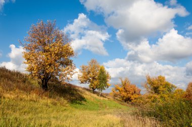 Sonbahar, altın yaprakları, harika bir zaman gün sıcak