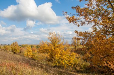 Sonbahar, altın yaprakları, harika bir zaman gün sıcak