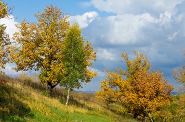 Sonbahar, altın yaprakları, harika bir zaman gün sıcak