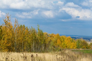 Sonbahar, altın yaprakları, harika bir zaman gün sıcak