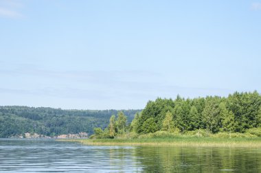 Yaz nehir sazlık ağaçlar gölgeliyor. Deniz, göl veya başka bir kanaldaki böyle dere akan su büyük bir doğal akışı.